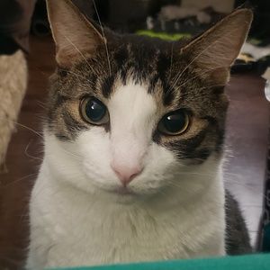 Meet your Posher, Aimee